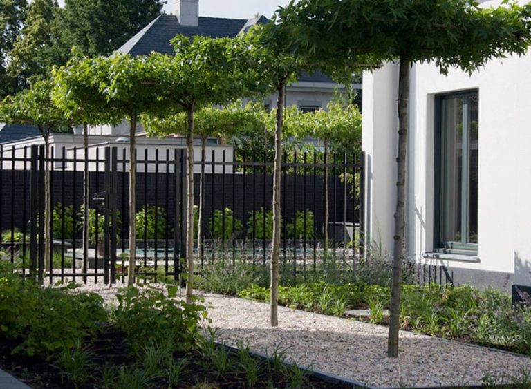 Tuin met berggrind